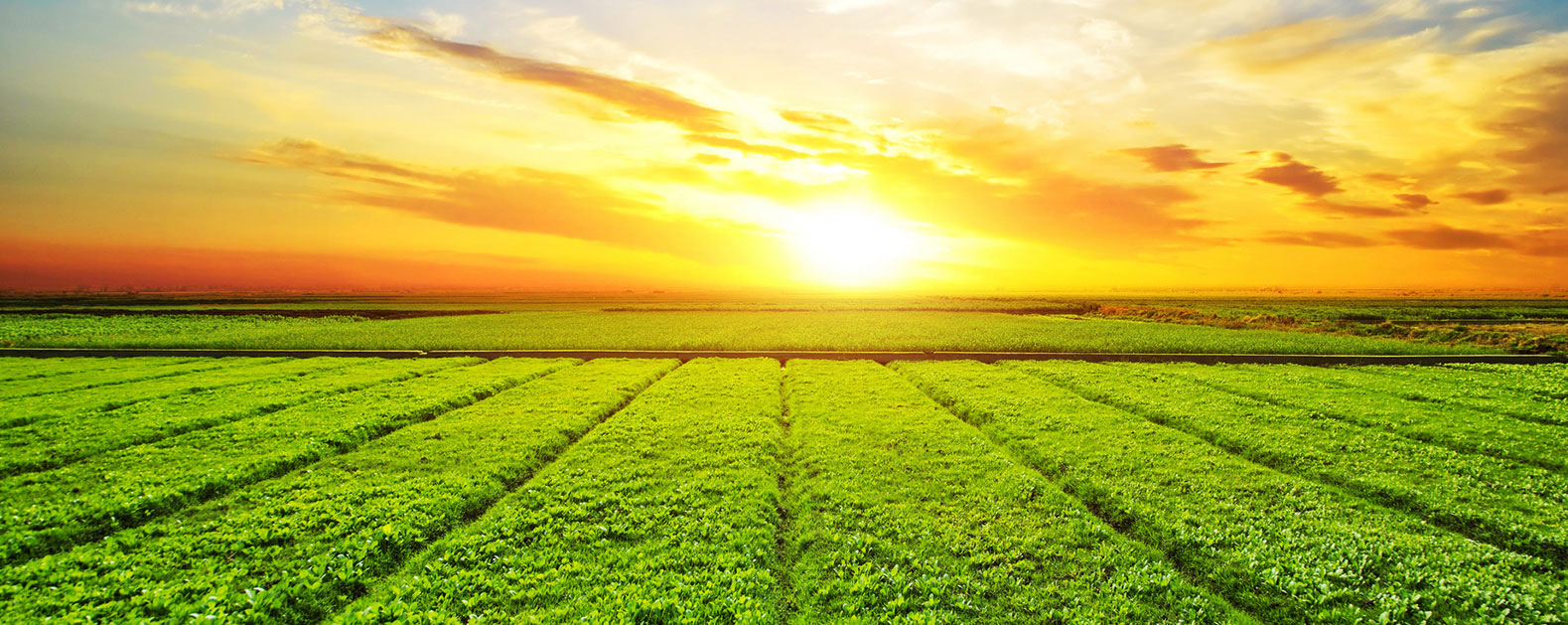 首页| 888集团电子游戏官方网站