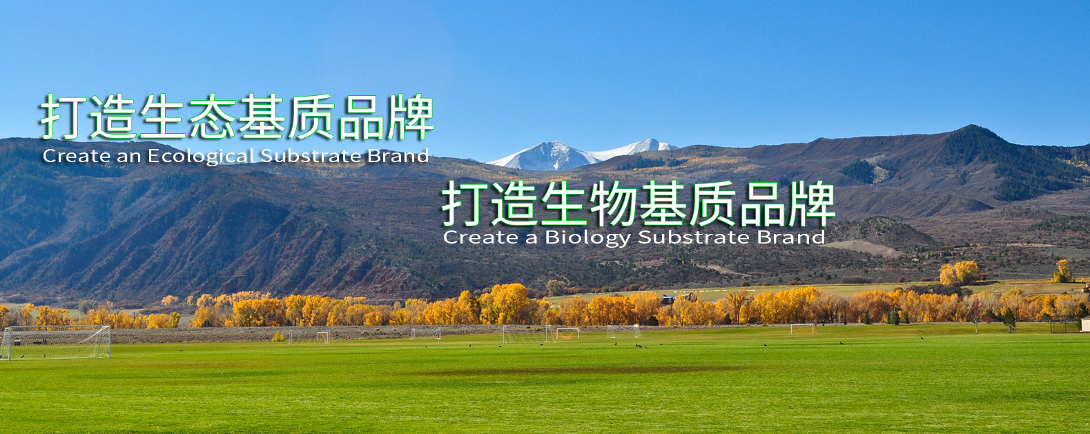 首页| 888集团电子游戏官方网站