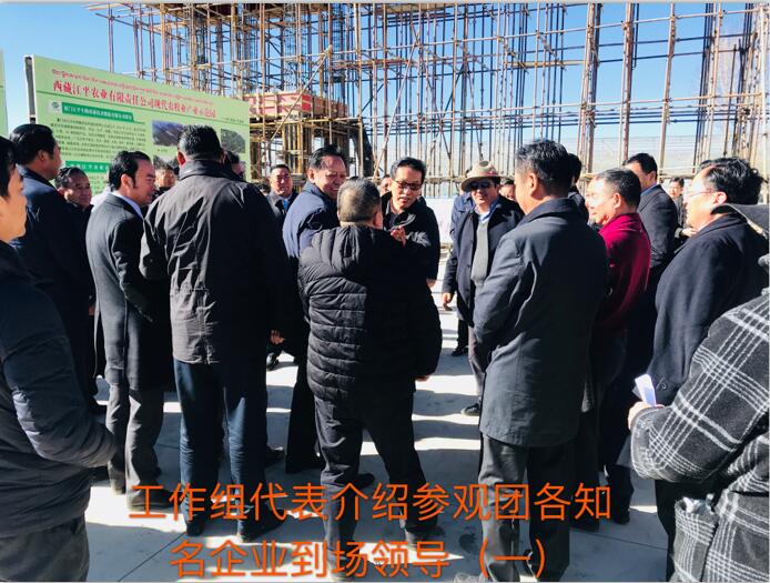 首页| 888集团电子游戏官方网站