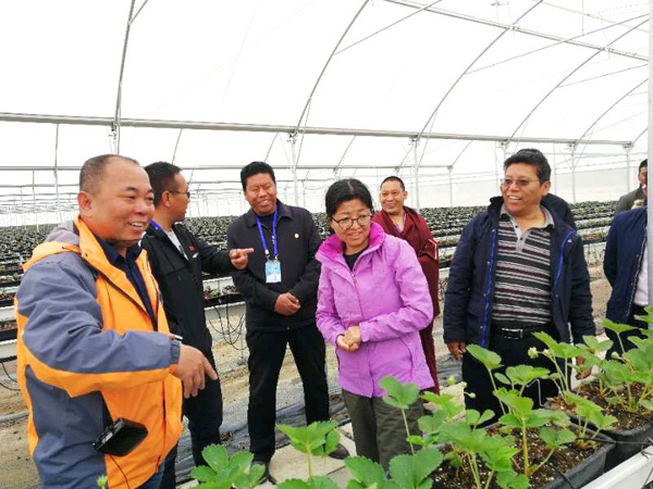 首页| 888集团电子游戏官方网站