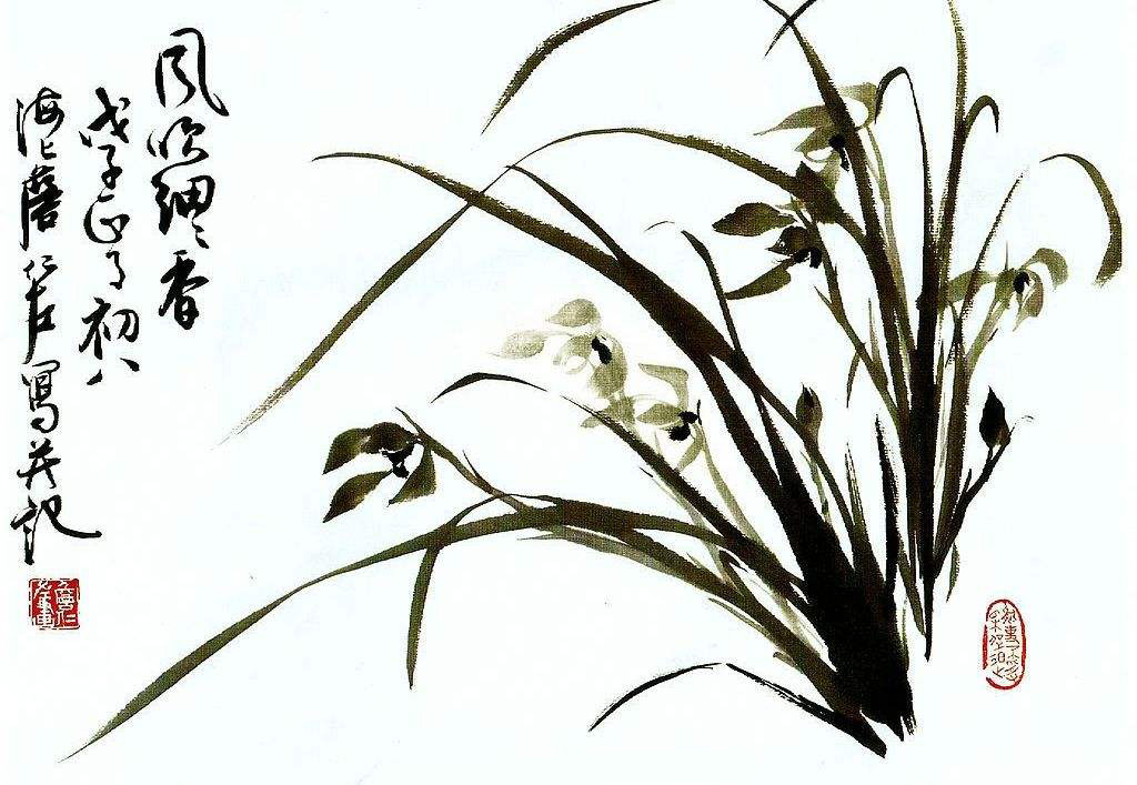 5b320c8426245