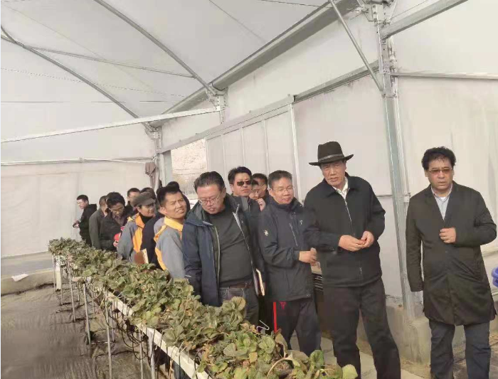 首页| 888集团电子游戏官方网站
