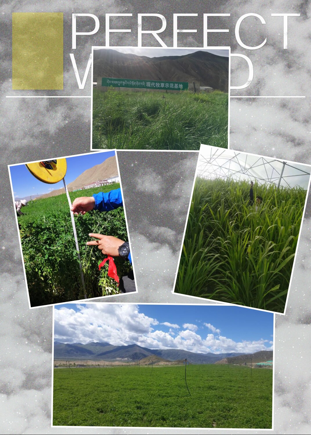 5c4845c53bc29 5c4845c53bc29