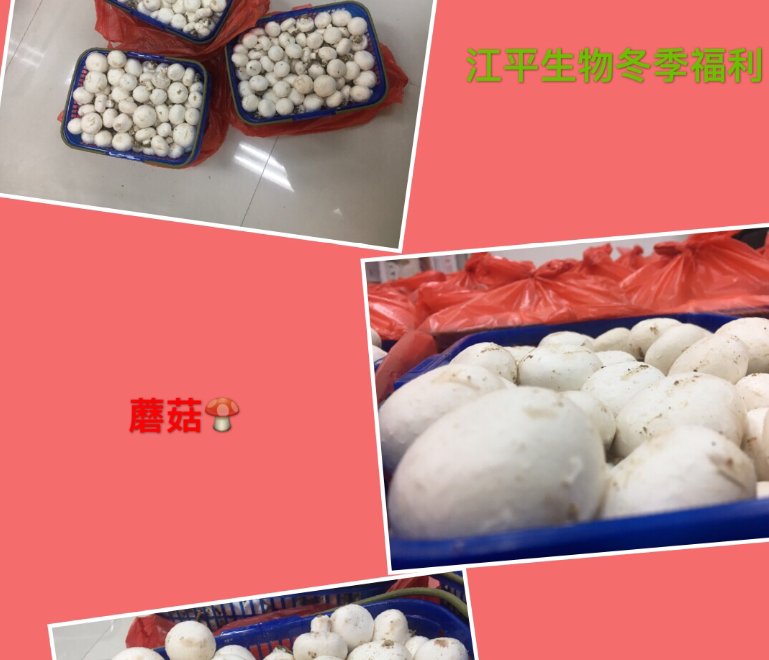 首页| 888集团电子游戏官方网站
