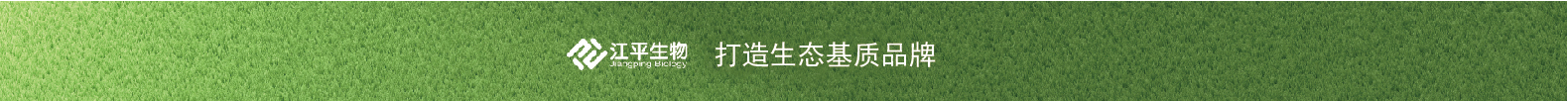5d1dbafc48751