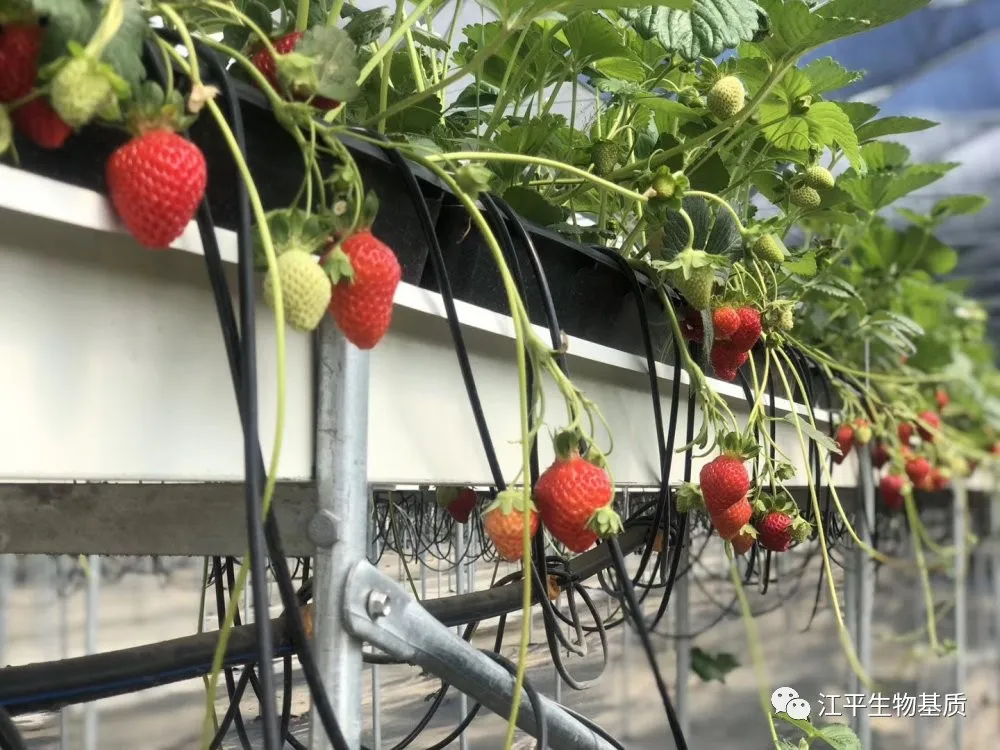 首页| 888集团电子游戏官方网站