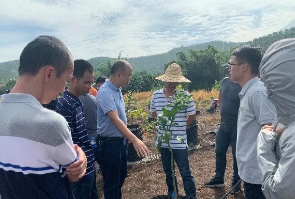 首页| 888集团电子游戏官方网站