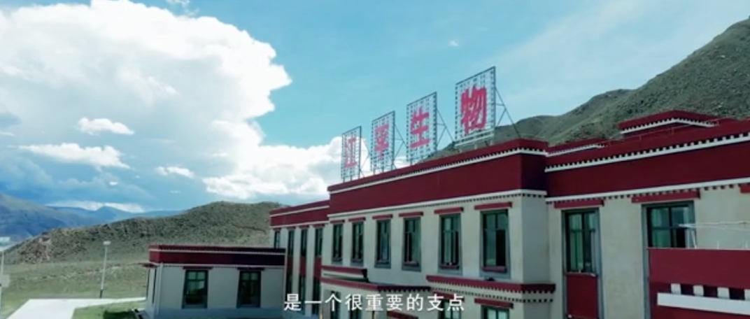 5fad03fc54003.png 图片.png