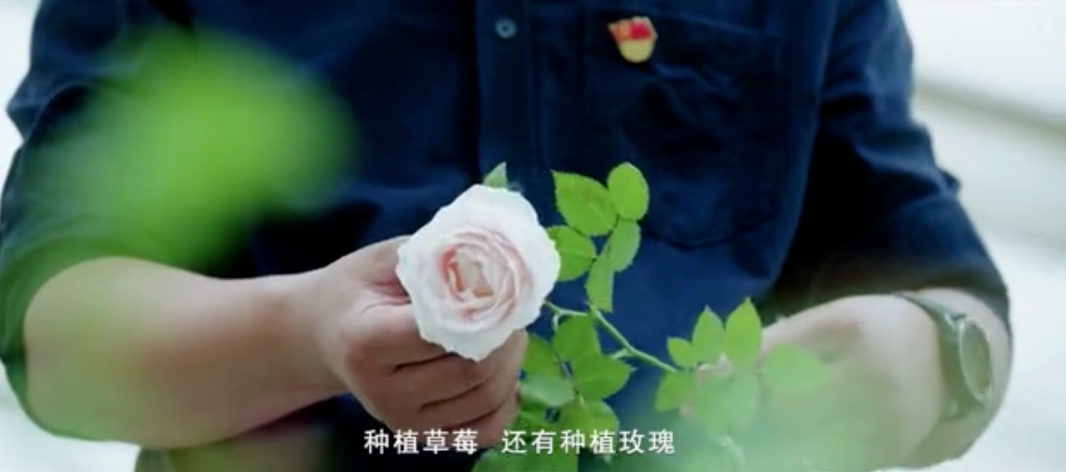 5fad045be4bef.png 图片.png