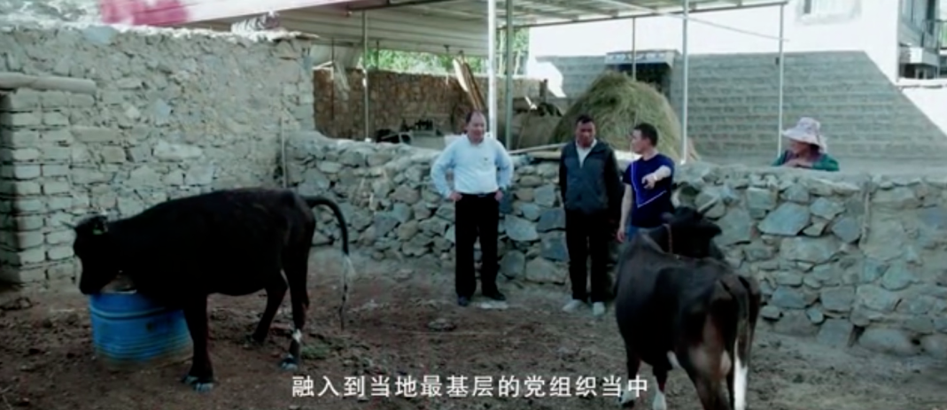 5fad04e5279a6.png 图片.png