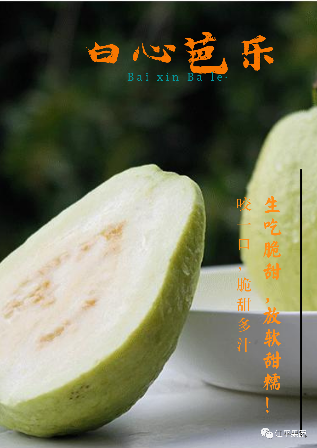 首页| 888集团电子游戏官方网站
