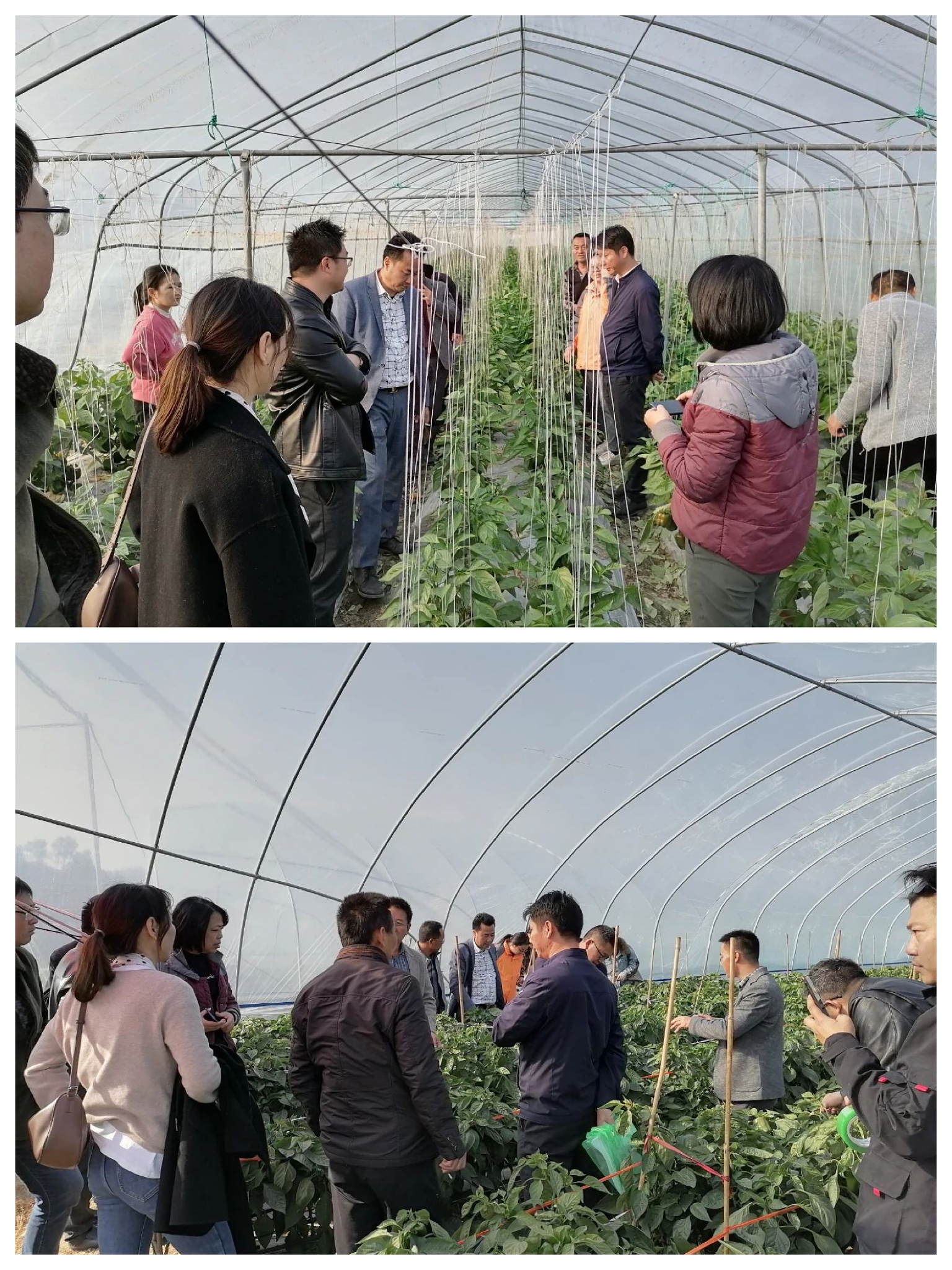 首页| 888集团电子游戏官方网站