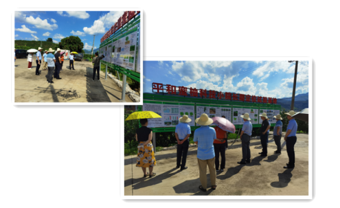 首页| 888集团电子游戏官方网站