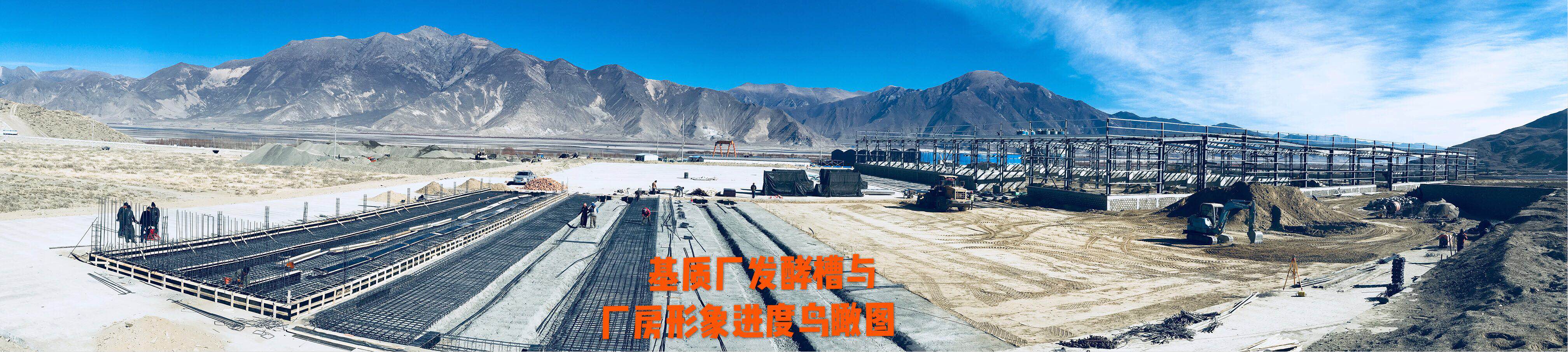首页| 888集团电子游戏官方网站