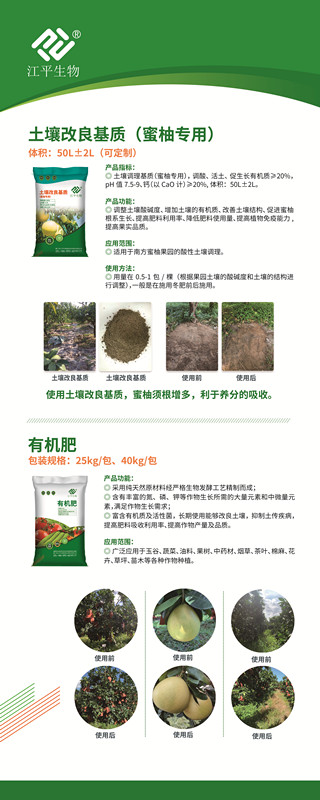 首页| 888集团电子游戏官方网站