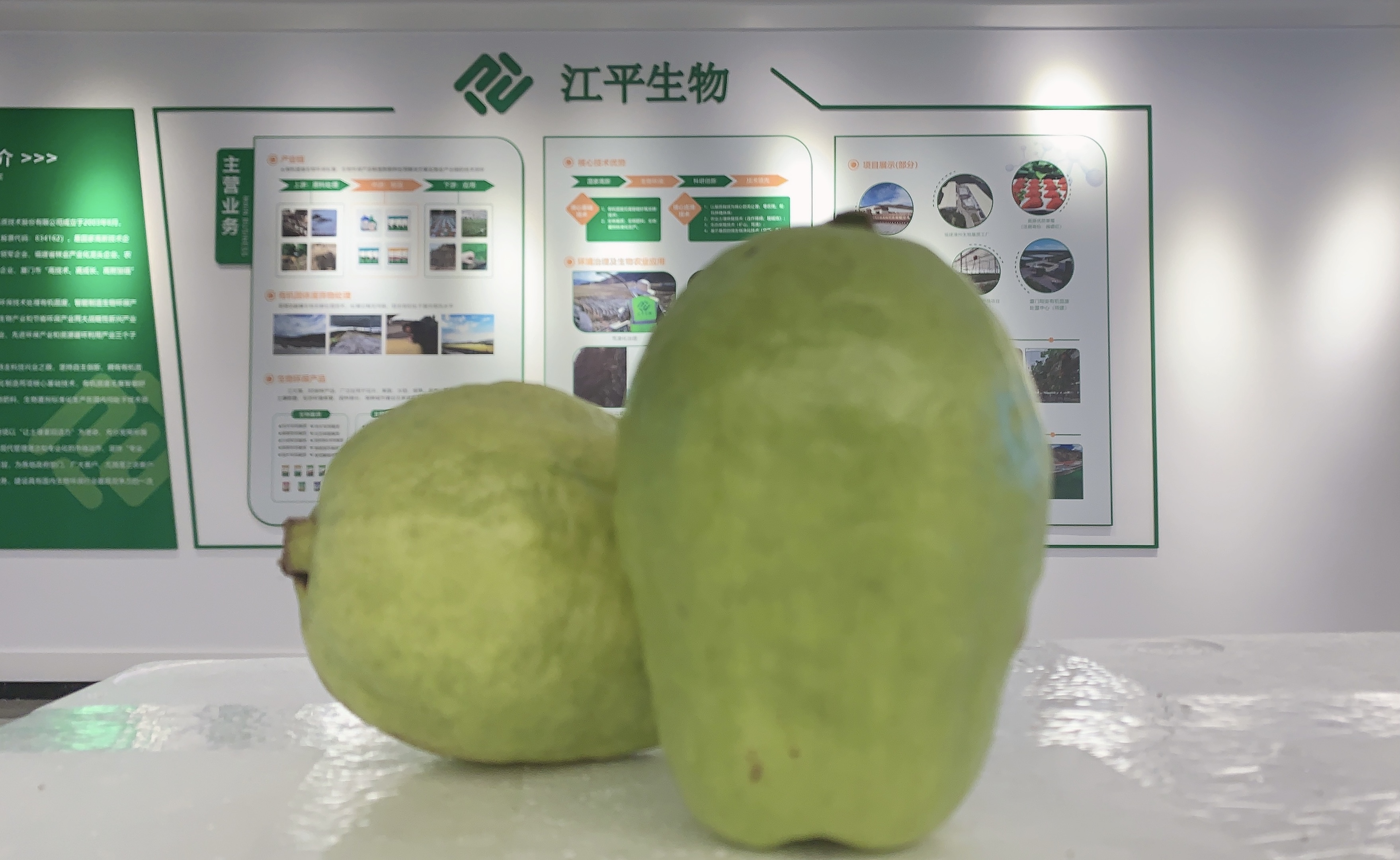 首页| 888集团电子游戏官方网站