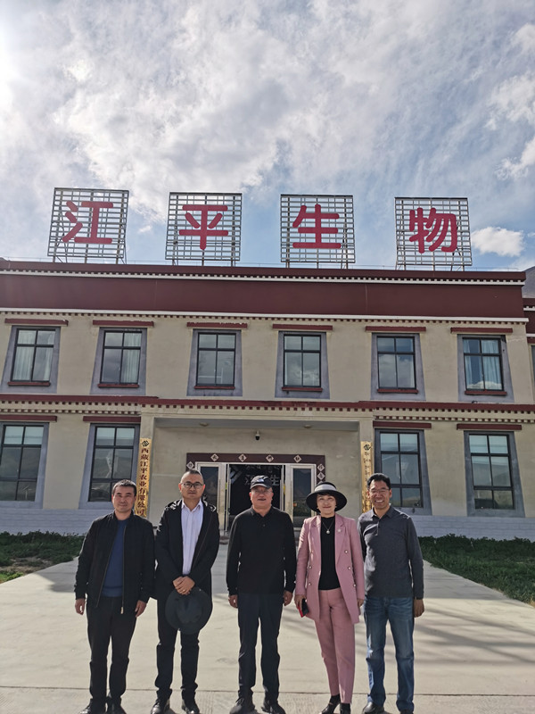 首页| 888集团电子游戏官方网站