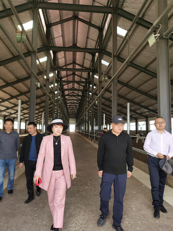 首页| 888集团电子游戏官方网站