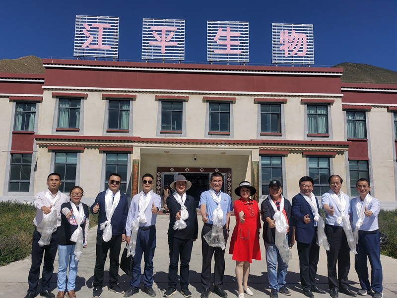 首页| 888集团电子游戏官方网站
