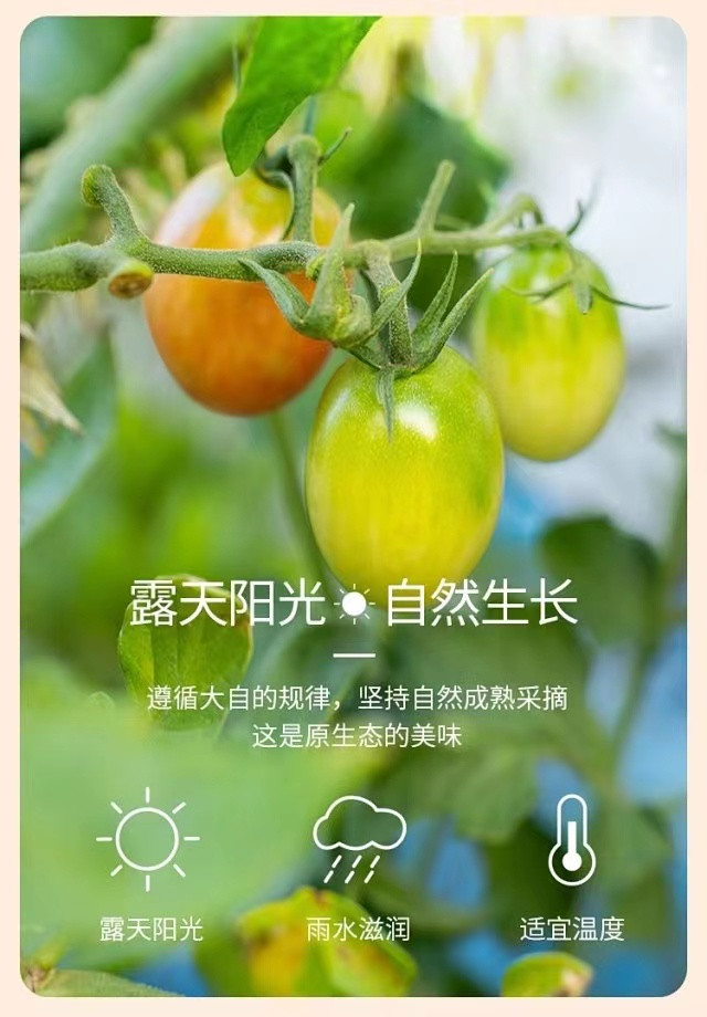 首页| 888集团电子游戏官方网站
