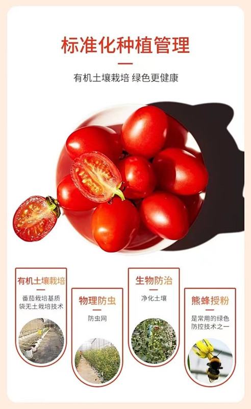 首页| 888集团电子游戏官方网站