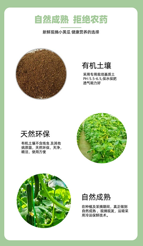 首页| 888集团电子游戏官方网站