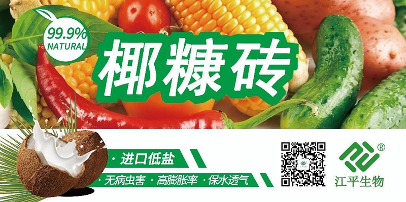 首页| 888集团电子游戏官方网站