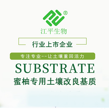 首页| 888集团电子游戏官方网站