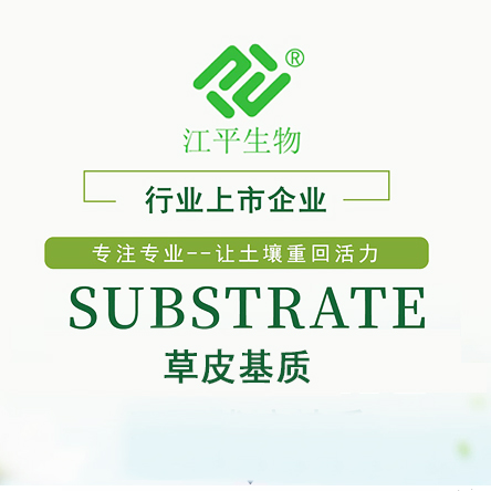 首页| 888集团电子游戏官方网站