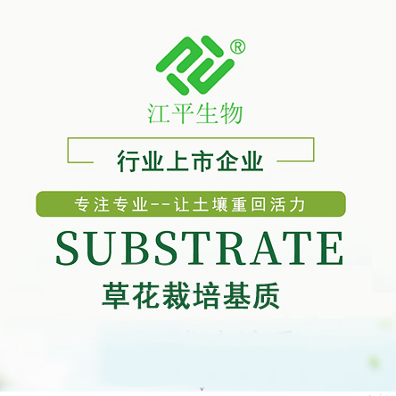 首页| 888集团电子游戏官方网站