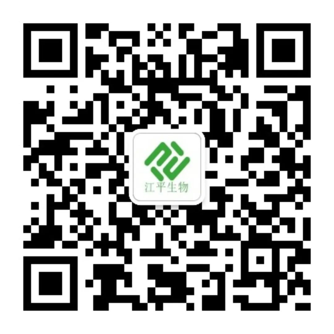 首页| 888集团电子游戏官方网站