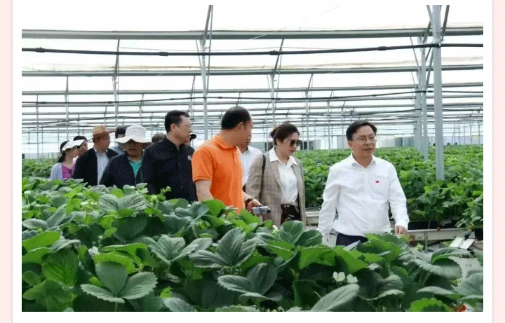首页| 888集团电子游戏官方网站
