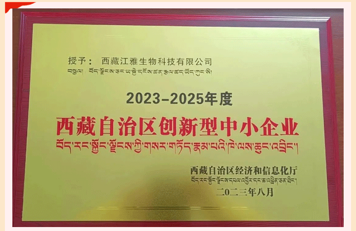 首页| 888集团电子游戏官方网站