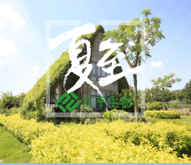 首页| 888集团电子游戏官方网站